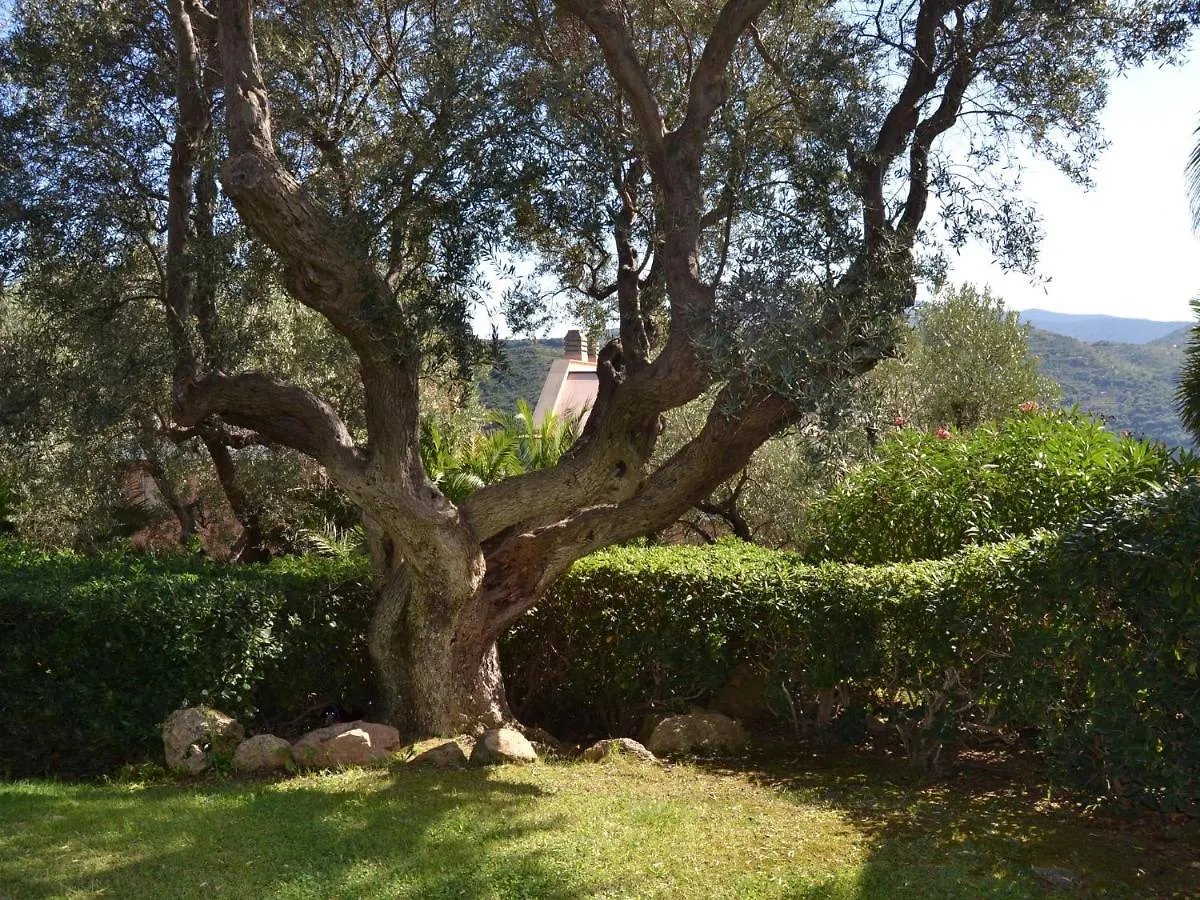 Large Apartment With Sea Views In A Spacious Garden With A Shared Pool Porto Santo Stefano  0*, Porto Santo Stefano (Grosseto)